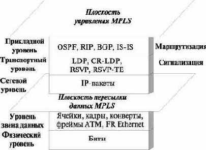 Введение в MPLS