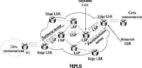 Классы эквивалентности пересылки и LDP